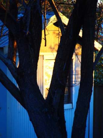 It droppeth as the gentle rain from heaven