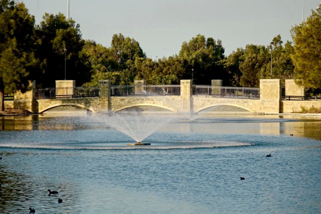 © PJ Croft 2014.   Camera Sony RX10 with Zeiss 24-200mm lens