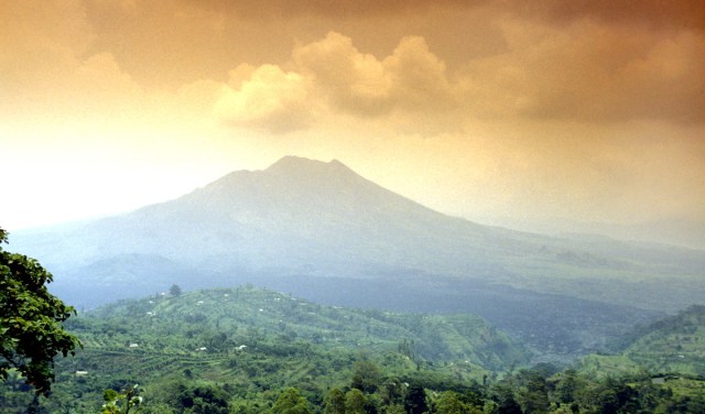 Agung pan L Or fix 203