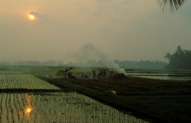 Bali smoke paddy sun 196