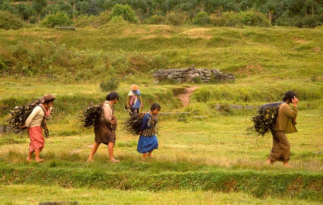 Dieng wood carriers 391