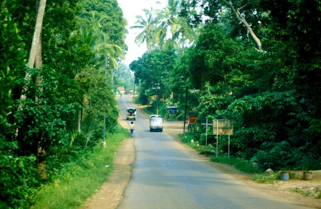 ubud-road-w161