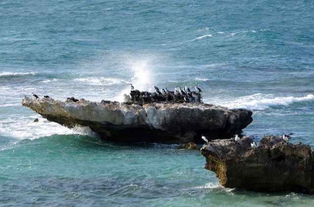 K5 14Dec10-ISO800 016.jpg