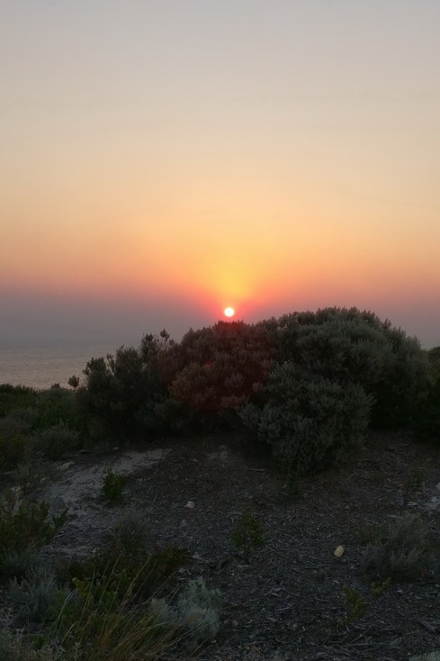 IMG_20180509_172229a