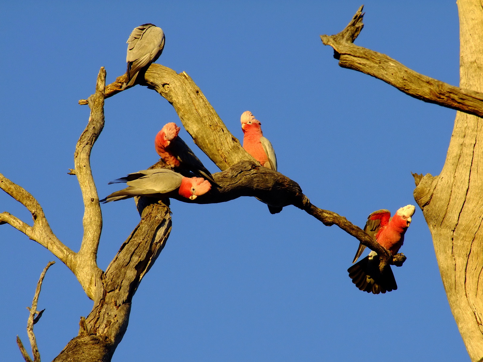 080602-F100-018-200ISO-0.7-400mm