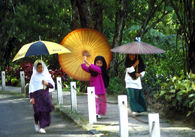 Umbrella girls 89