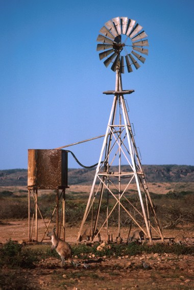 Windmill +roos87